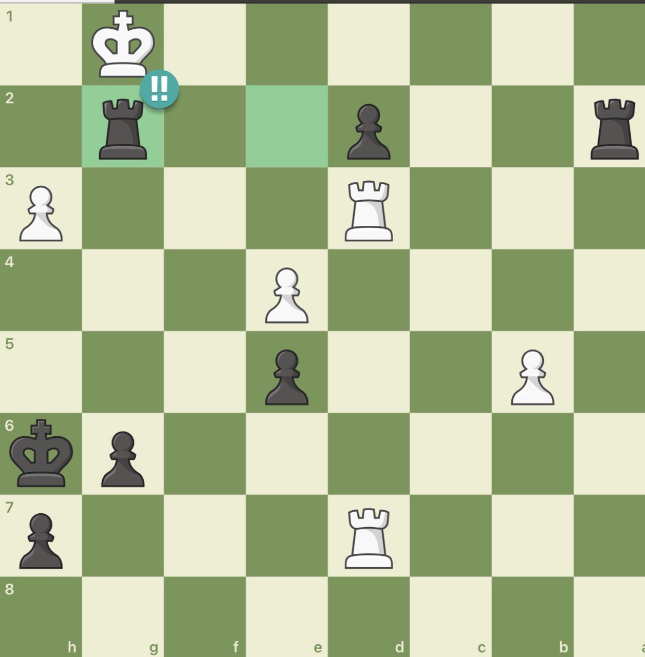 Saman Meihami brilliant chess move