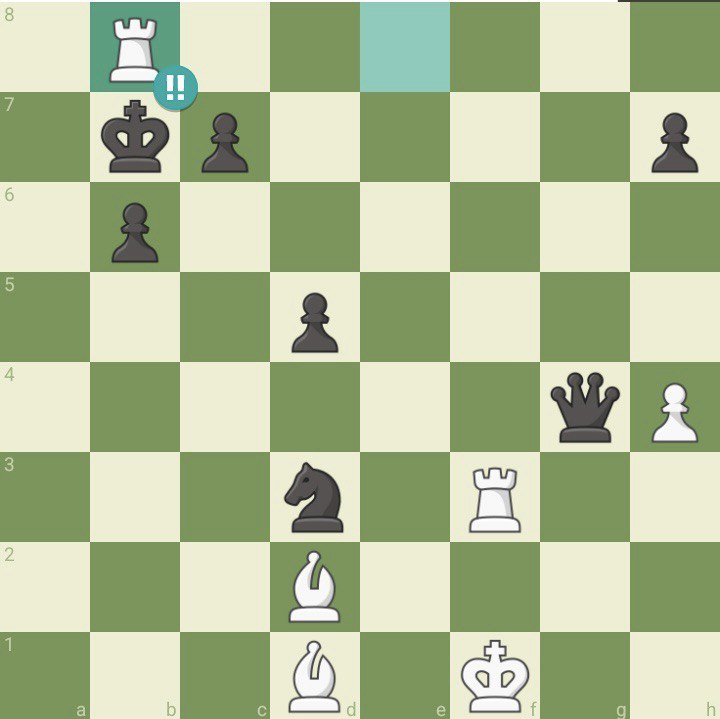 Saman Meihami brilliant chess move