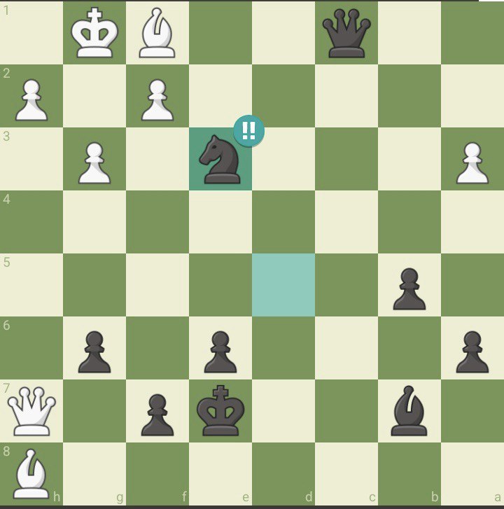 Saman Meihami brilliant chess move
