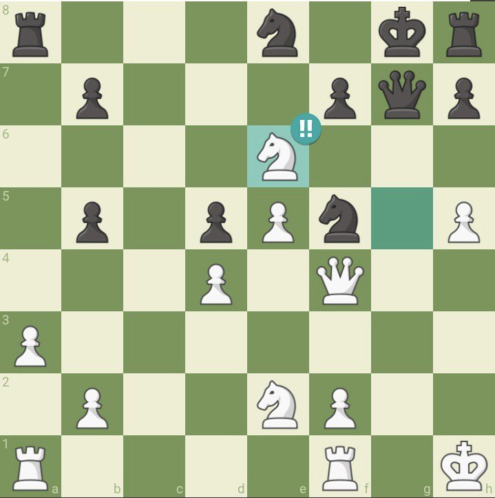 Saman Meihami brilliant chess move