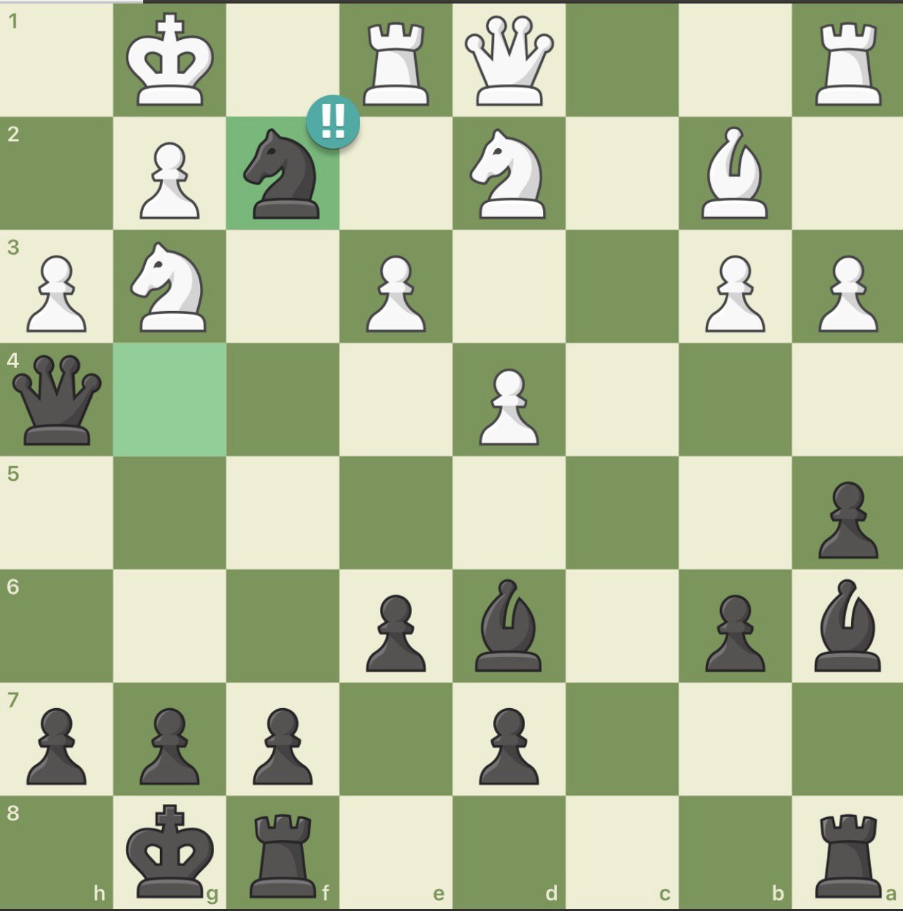 Saman Meihami brilliant chess move