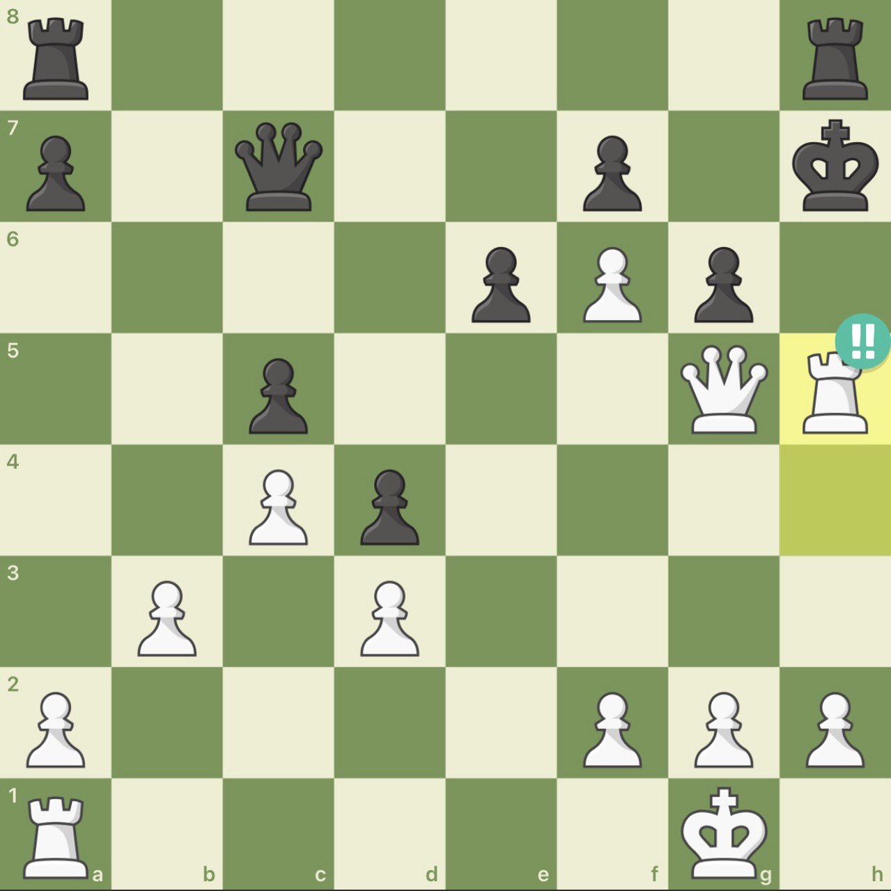 Saman Meihami brilliant chess move