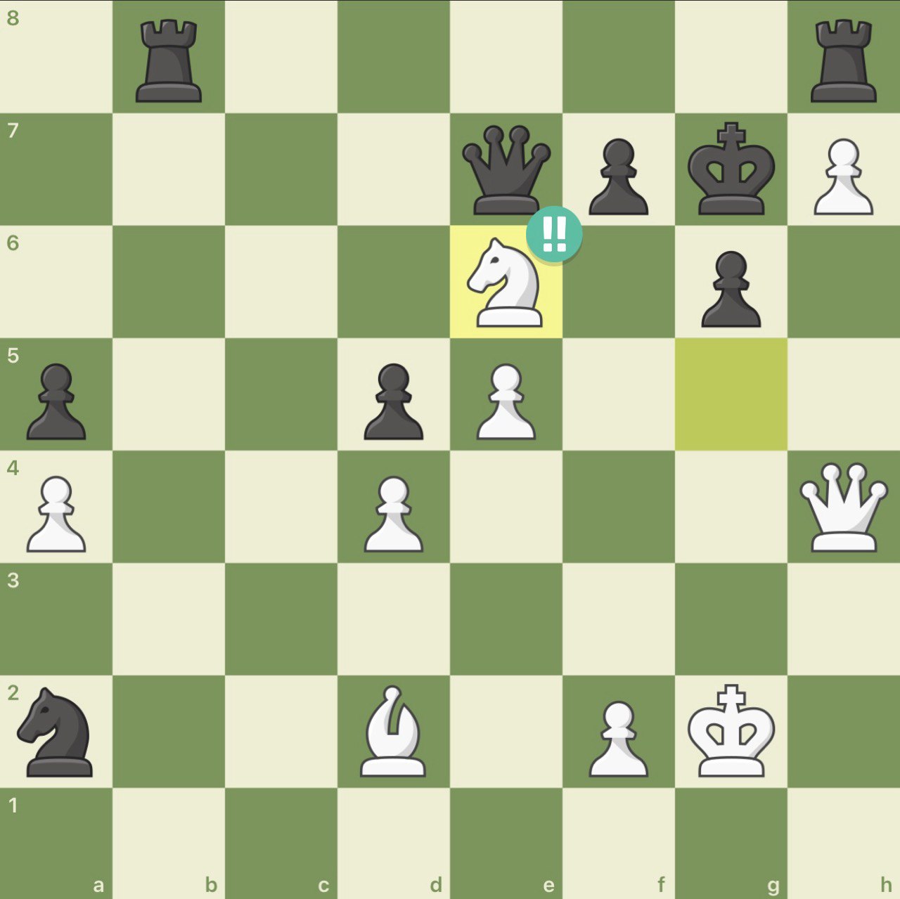 Saman Meihami brilliant chess move