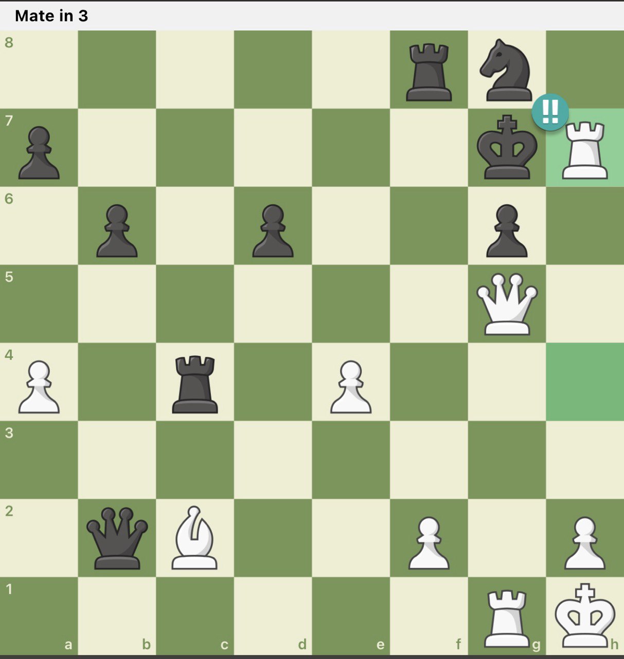 Saman Meihami brilliant chess move